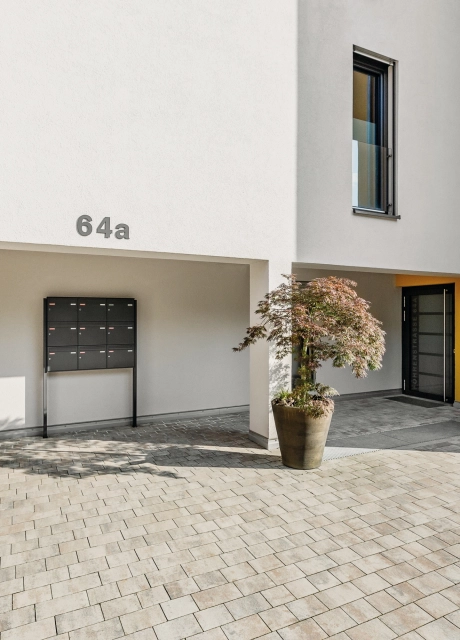 modern house planted driveway 