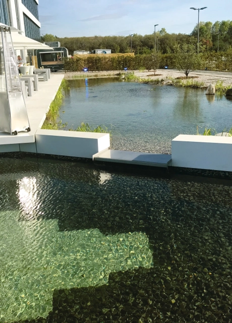 company space planted modern pond