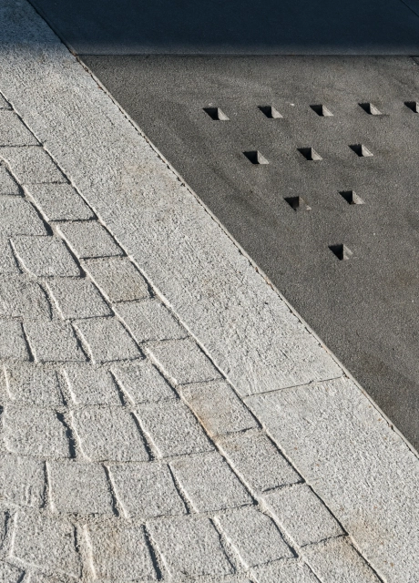city hall tree slab planted
