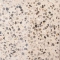 Weserkies Sand-Beige