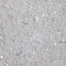 Lime-Grey