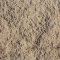 Sandstone