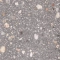 Naabkies Basalt-Grau