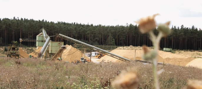Blick auf die Sandaufbereiten - im Vordergrund eine unscharfe Silberdistel. Viele geschützte Pflanzen wachsen in unserer Sandgrube in den renaturierten Bereichen.