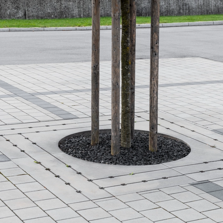 GDM.TETRAGO tree