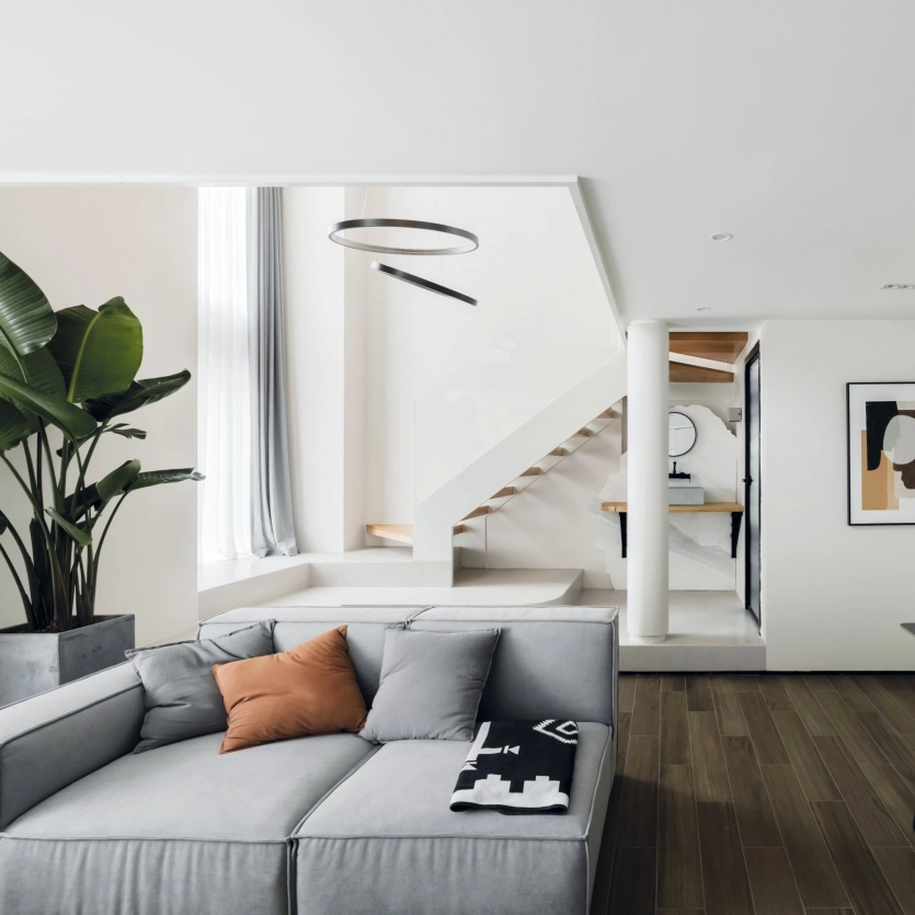 Planter with strelitzia indoors