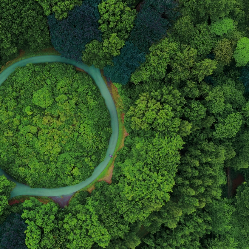 Vogelperspektive eines Waldes mit einem runden Fluss.
