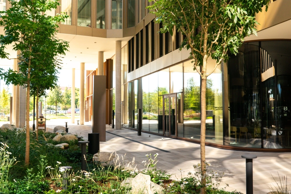 Blick auf ein grünes Beet mit verschiedenen Sträuchern. Dazwischen finden sich große Steine und schwarze Pfosten. Im Hintergrund ist ein hohes Gebäude mit vielen großen Fenstern zu sehen.