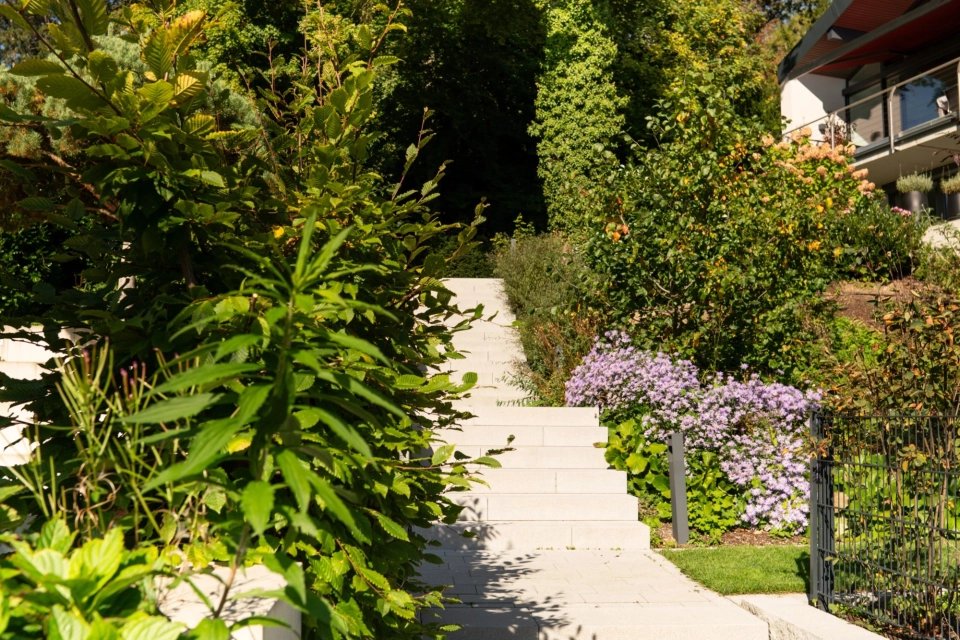 Außentreppe aus grauen GDM.NUEVA step, umgeben von dichten Grünpflanzen und blühenden Beeten, die zwischen modernen Pflanzgefäßen und einer gepflegten Gartenanlage nach oben führt.