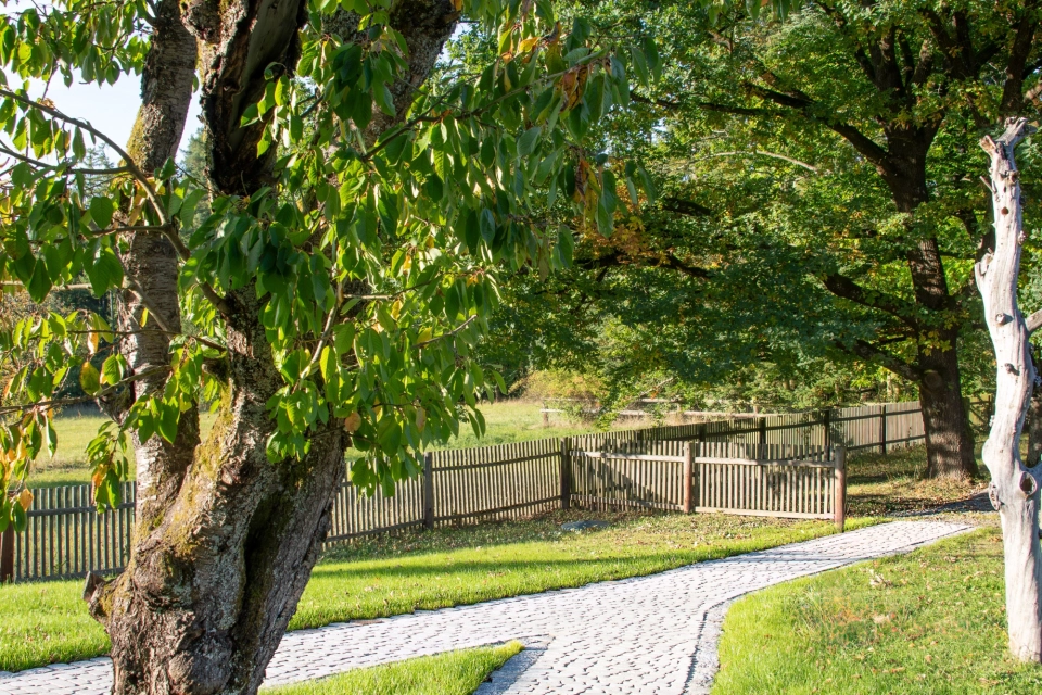 Der GDM.BOLERO stone bildet einen geschwungenen Gehweg, der sich harmonisch durch Wiese und Baumbestand einfügt.