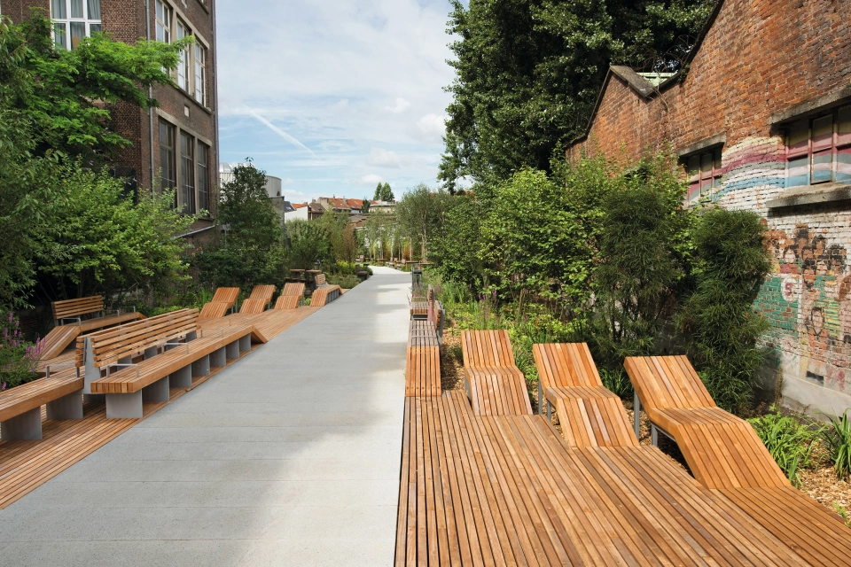wood planted park