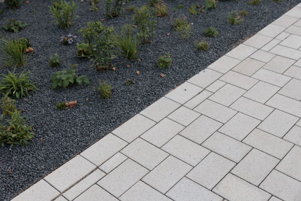 Nahaufnahme eines Weges aus beigem GDM.KLIMASTEIN, der an ein bepflanztes Beet mit dunklem Splitt und jungen Grünpflanzen grenzt.
