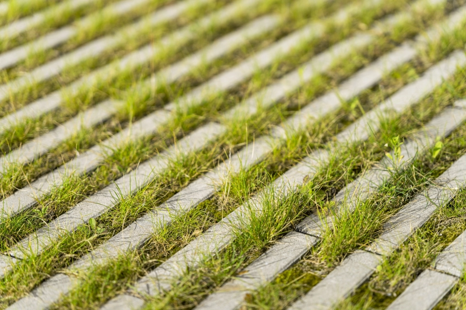 Nahaufnahme eines mit Gras begrünten Rasenliner-Fugensteins.