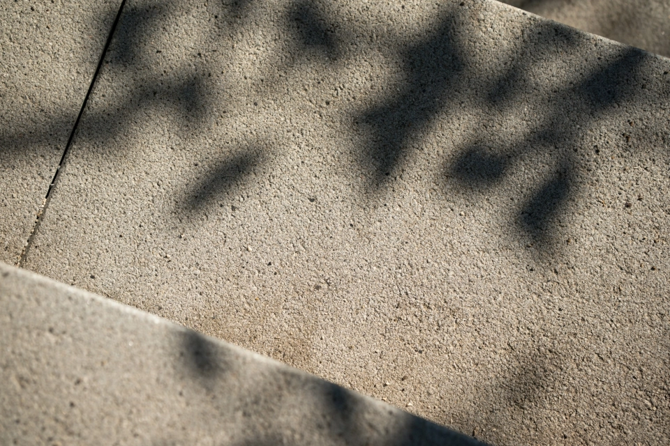 Nahaufnahme der Oberfläche einer hellen GDM.NUEVA step, auf der sich weiche Schatten von Pflanzen abzeichnen.