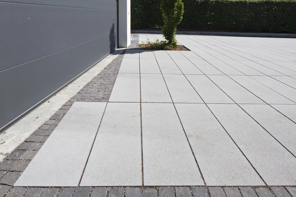 yard entrance modern green planting