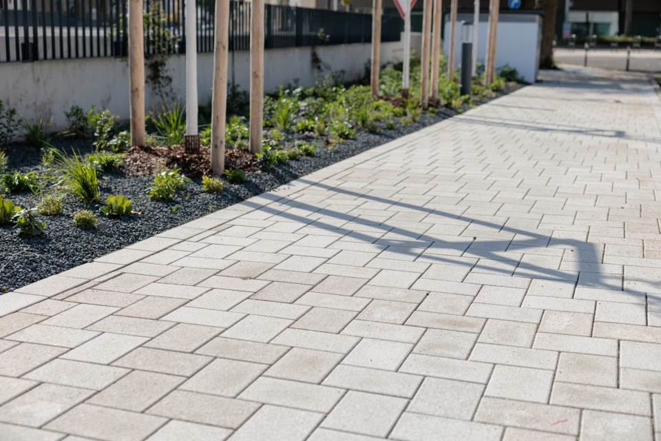 Gepflegter Gehweg aus beigem GDM.KLIMASTEIN, angrenzend an ein neu angelegtes Beet mit jungen Bäumen und dichter Bepflanzung. Im Hintergrund verläuft ein Zaun entlang der Anlage.