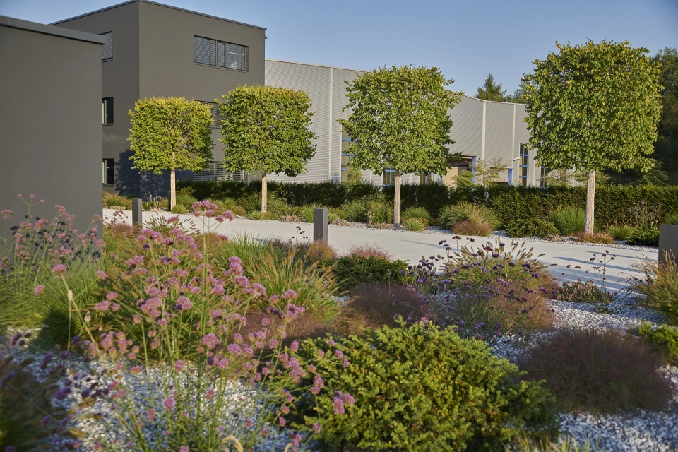 company entrance square planted