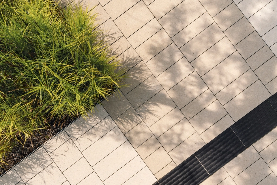 sports leisure hall planted