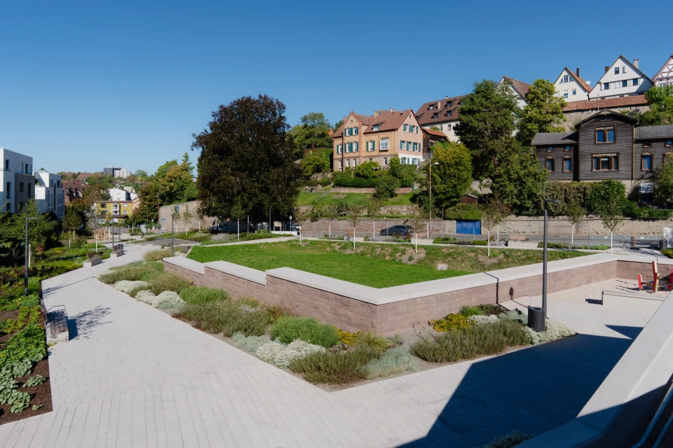 Moderner Stadtgarten mit begrünten Flächen, gepflasterten Wegen und Sitzbänken. Im Hintergrund sind die Fassaden von Fachwerkshäusern zu sehen.