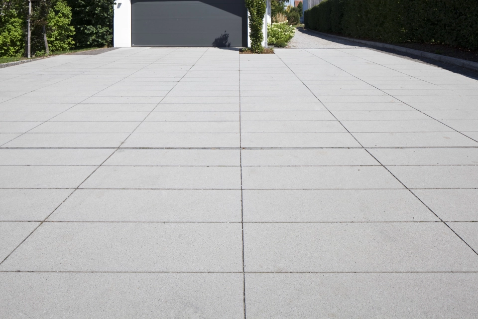 yard entrance modern green planted