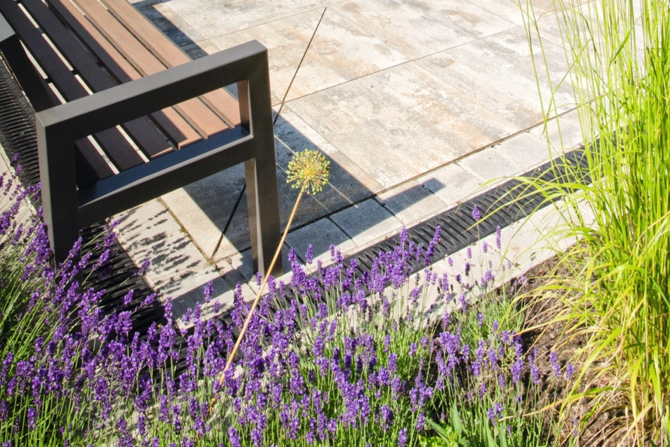 residential home nursing home stylishly planted